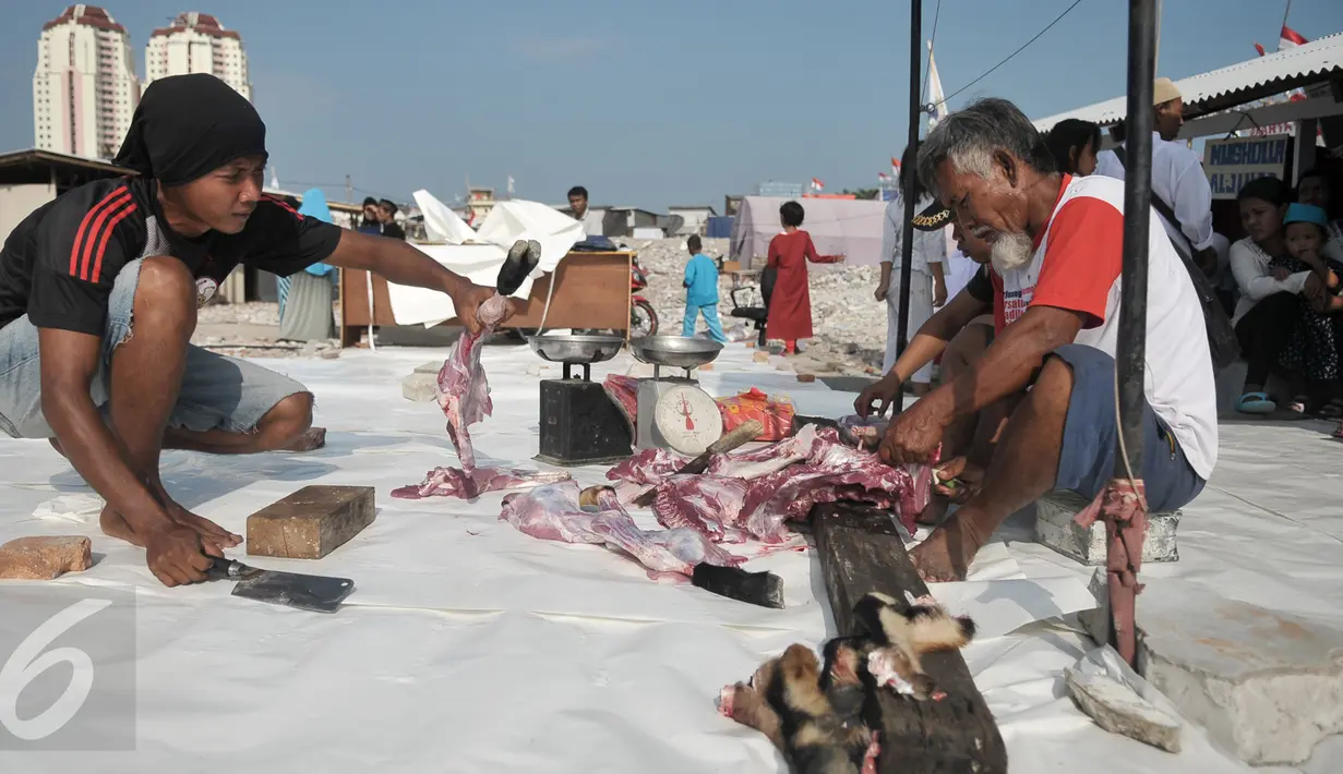 Panitia memotong-motong daging hewan kurban di kawasan Kampung Akuarium, Jakarta, Senin (12/9). Ratusan warga korban gusuran Kampung Akuarium Pasar Ikan merayakan Idul Adha 1437 H di antara reruntuhan rumah mereka. (Liputan6.com/Yoppy Renato)