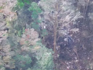 Puing pesawat Trigana Air terlihat di foto yang diambil di daerah pegunungan di distrik Oksibil, Papua, Senin (17/8/2015). Basarnas memastikan serpihan tersebut merupakan pesawat Trigana Air yang hil‎ang kontak pada Minggu (16/8) sore. (Reuters/Basarnas) 