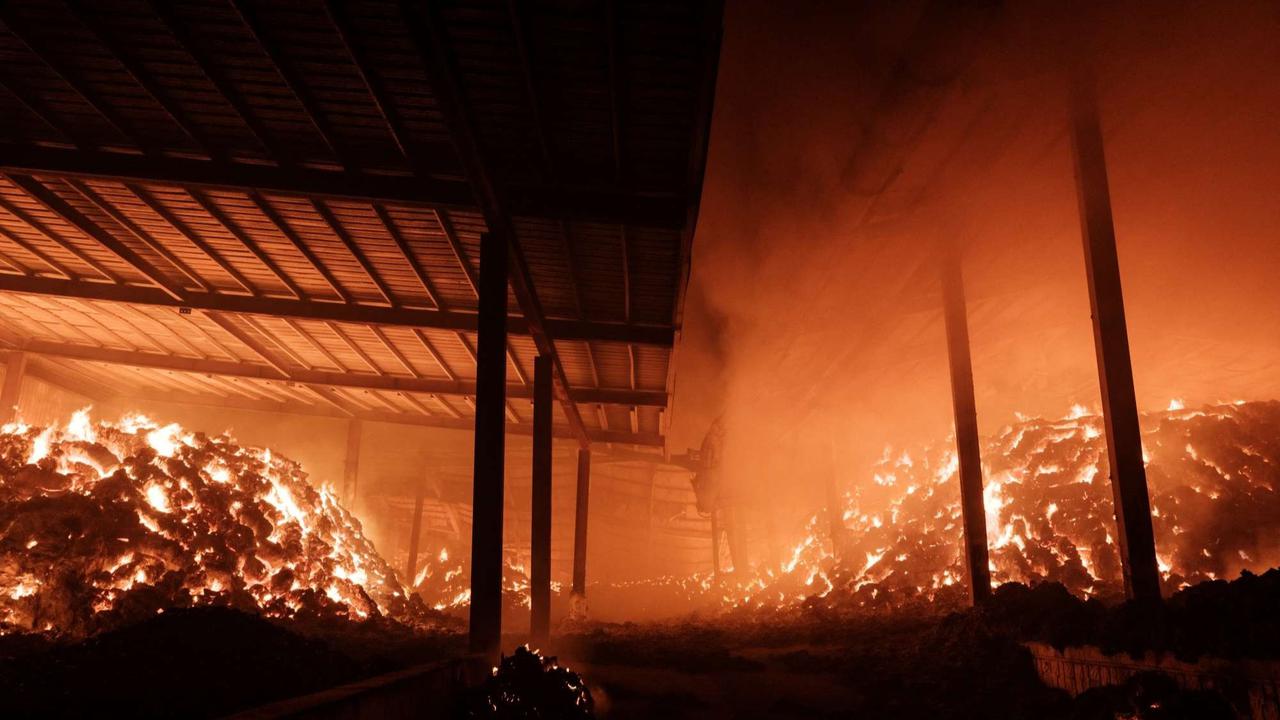 Kebakaran hutan Korea Selatan semakin ganas