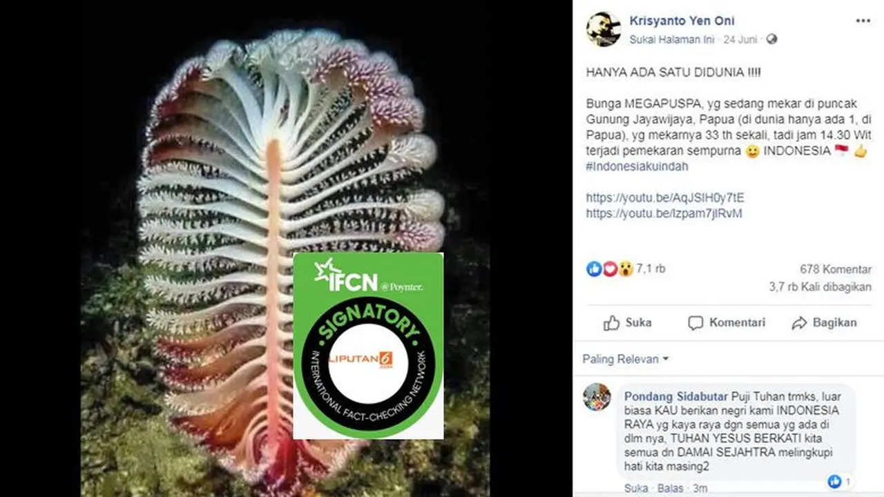 [Cek Fakta] Gambar Tangkapan Layar yang Disebut Foto Bunga Langka