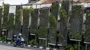 Pengendara motor melintas di depan taman vertikal kawasan Tugu Tani, Jakarta Pusat, Senin (17/7). Kurangnya perawatan menyebabkan beberapa tanaman terlihat kering dan mati sehingga membuat kumuh kawasan sekitar. (Liputan6.com/Immanuel Antonius)