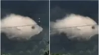 Gambar Pertama yang Dilihat Ungkap Kepribadianmu, Orang Peka Atau Tekun