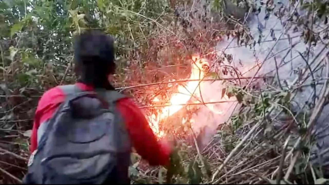 Relawan berupaya memadamkan api dalam kebakaran Gunung Sumbing. (Foto: Liputan6.com/BPBD Temanggung/Muhamad Ridlo)