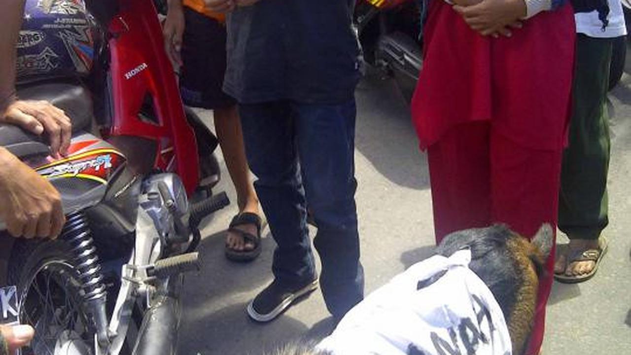 Ratusan warga bawa keranda mayat dan kambing ke PN Mungkid