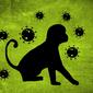 Ilustrasi virus cacar monyet. Credits: pixabay.com by Alexandra_Koch