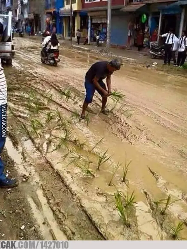 6 Kelakuan Bapak-Bapak saat Menamam Ini Bikin Geleng Kepala
