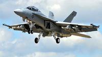 Jet tempur F/A-18 Hornet (AP)