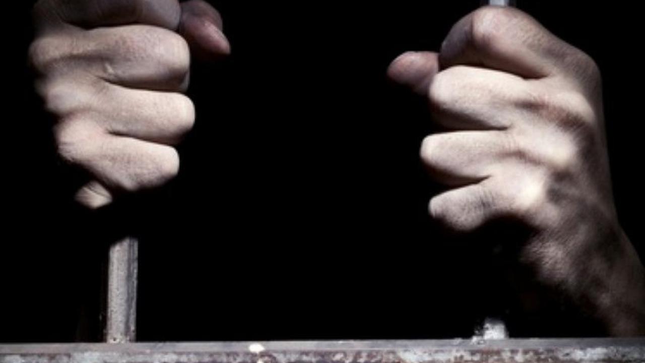 Atas perbuatannya, para pelaku dapat dijerat dengan Undang-Undang No 35 Tahun 2009 tentang Narkotika dengan ancaman maksimal hukuman mati atau penjara seumur hidup.