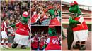 Kabar mengejutkan datang dari Liga Inggris. Klub asal London, Arsenal, resmi memecat maskot tim yang lebih sering dikenal dengan nama Gunnersaurus.