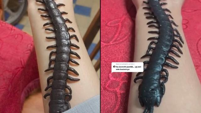 Dikira Mainan, Aksi Wanita Membiarkan Kelabang di Tangannya Ini Bikin Merinding