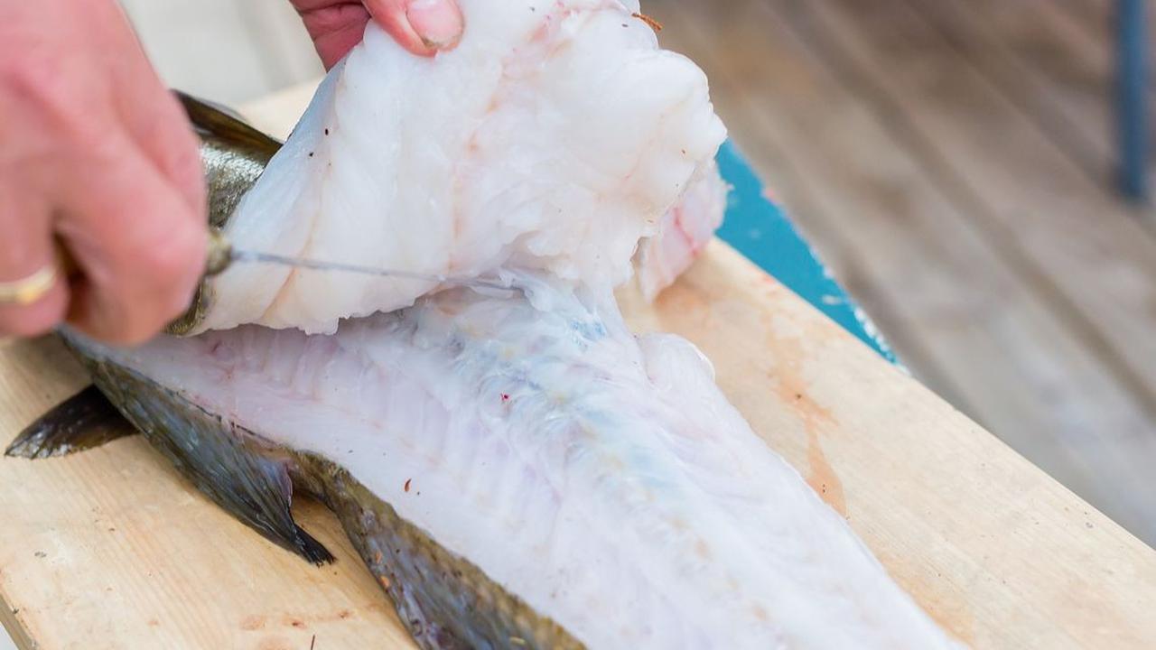 Tips Mengolah Ikan Gindara