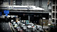 Heboh Ular Merayap di Kursi, Kereta Terpaksa Berhenti