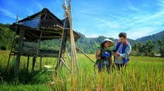 KUR BRI Tembus Rp103,81 Triliun, Perkuat Pemberdayaan UMKM dalam Ekosistem Danantara