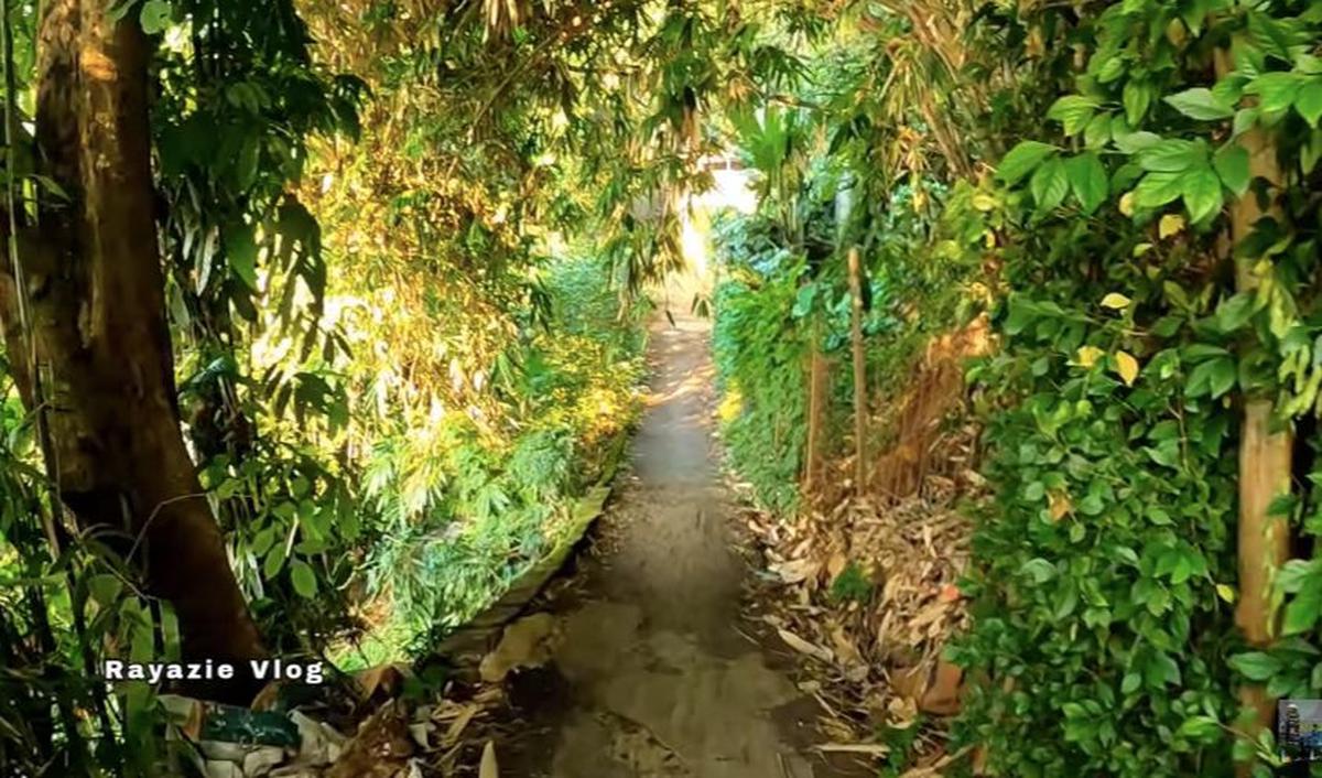 Ketika masuk ke kampung ini, Anda akan disambut dengan suasana sejuk dan segar. <br>