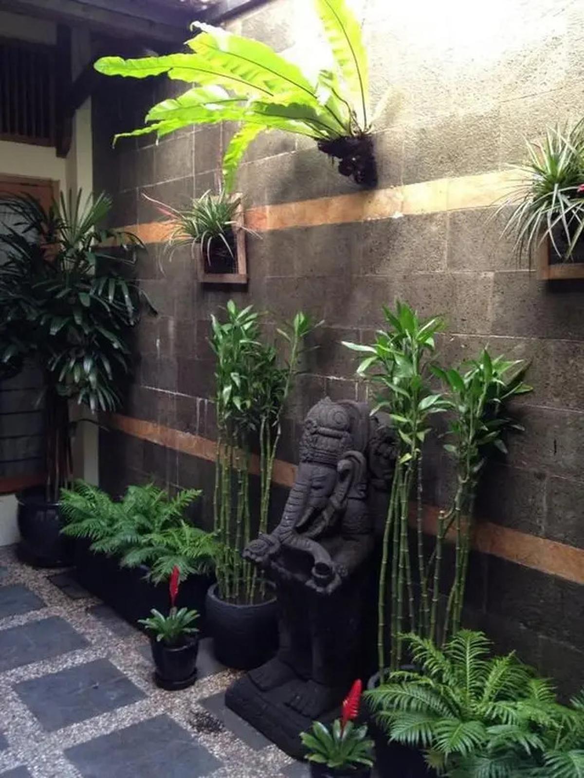 Model Taman Minimalis di Dalam Rumah yang Bikin Hunian Asri, Simak Rekomendasinya