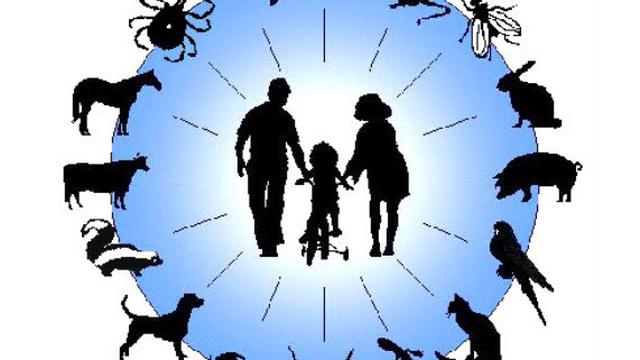 Peringati Hari Zoonosis Sedunia Kementan Gelar Sosialisasi Digital Bisnis Liputan6 Com