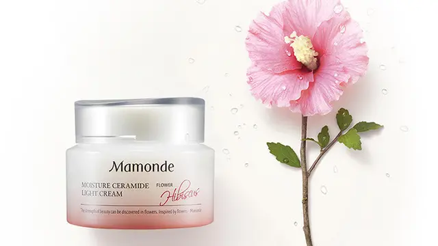 Mamonde Ceramide Light Cream/Pinterest