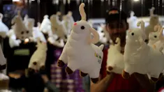 Boneka domba terlihat di sebuah pasar jelang Hari Raya Idul Adha di Gaza City, pada 25 Juli 2020. (Xinhua/Rizek Abdeljawad)
