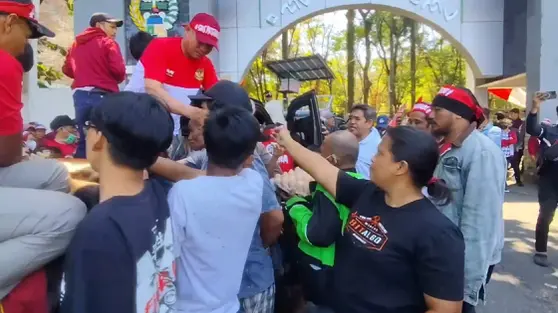 Peternak di Sulsel Menjerit, Ayam dan Telur Dibagikan Gratis daripada Dijual Rugi