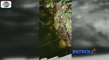 Petugas menyisir beberapa area kali dan memasang sejumlah perangkap jaring di bawah jembatan.