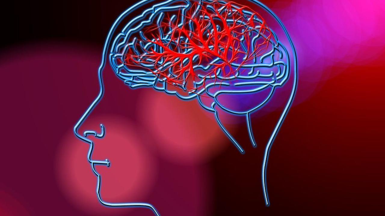 Dilansir dari Shape, terdapat dua kategori utama stroke yaitu iskemik dan hemoragik. Stroke iskemik, disebabkan oleh pembekuan dan kurangnya aliran darah yang dapat berasal dari mana saja di dalam tubuh.