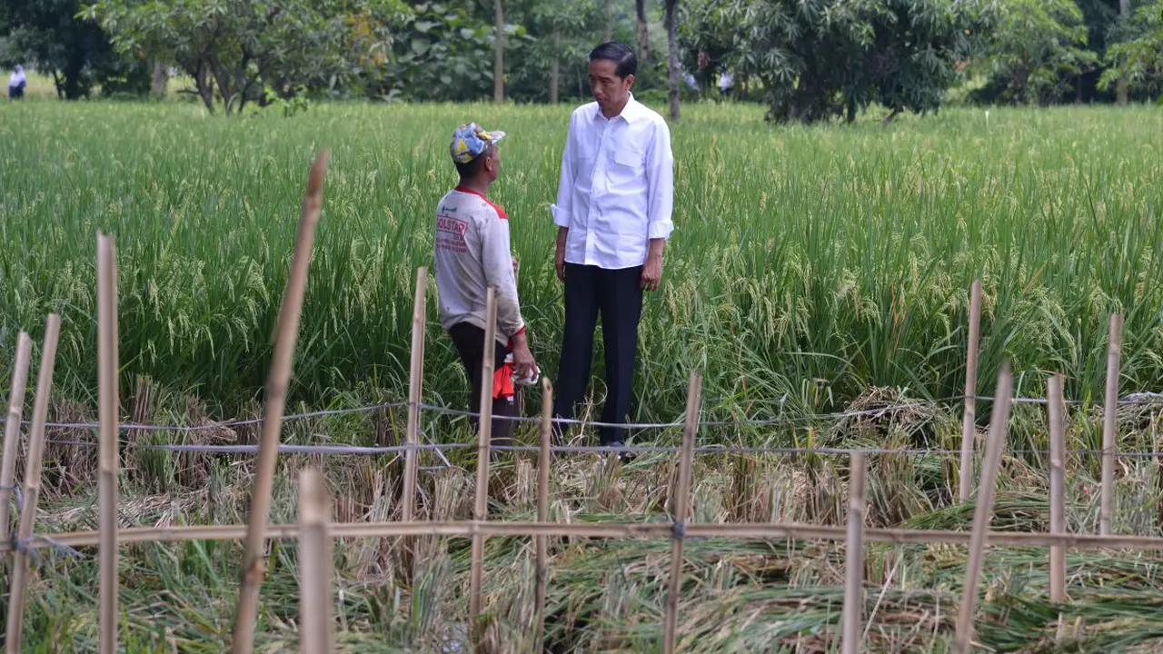 Jokowi