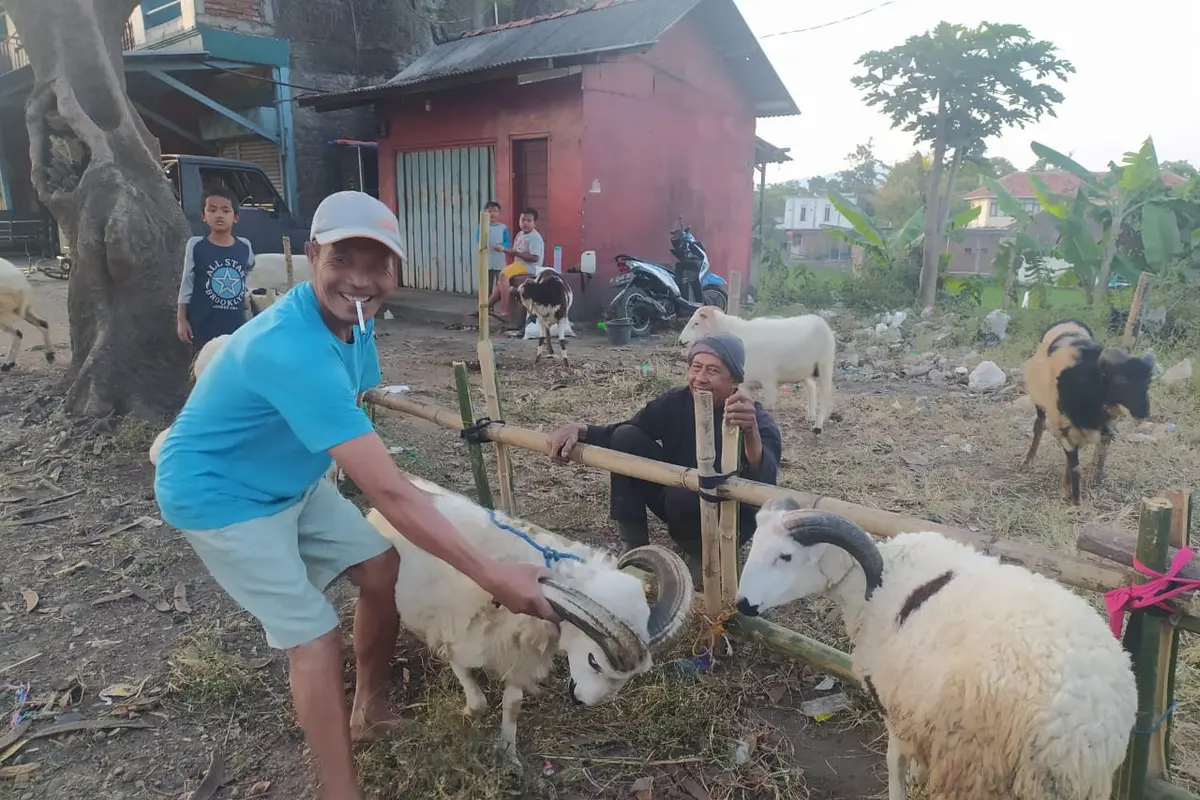 Para pedagang hewan domba Garut, Jawa Barat, nampak lesu akibat minimnya penjualan hewan kurban, saat menjelang Idul Adha 1441/2020.