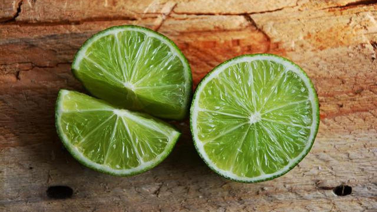 4 Cara Mengusir Lalat Hijau di Dapur Secara Alami dan Cepat