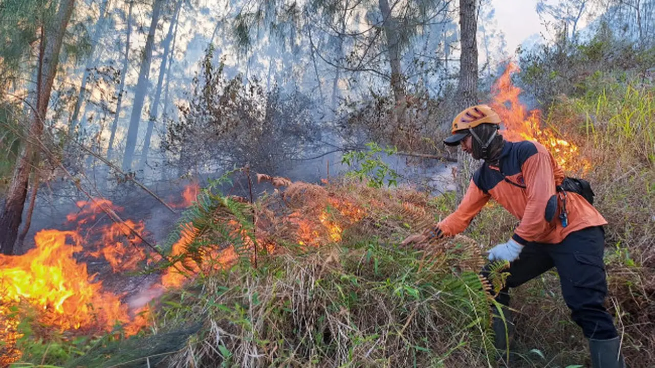 Sudah 29 Hektar Lahan Hutan Terdampak Kebakaran Gunung Panderman