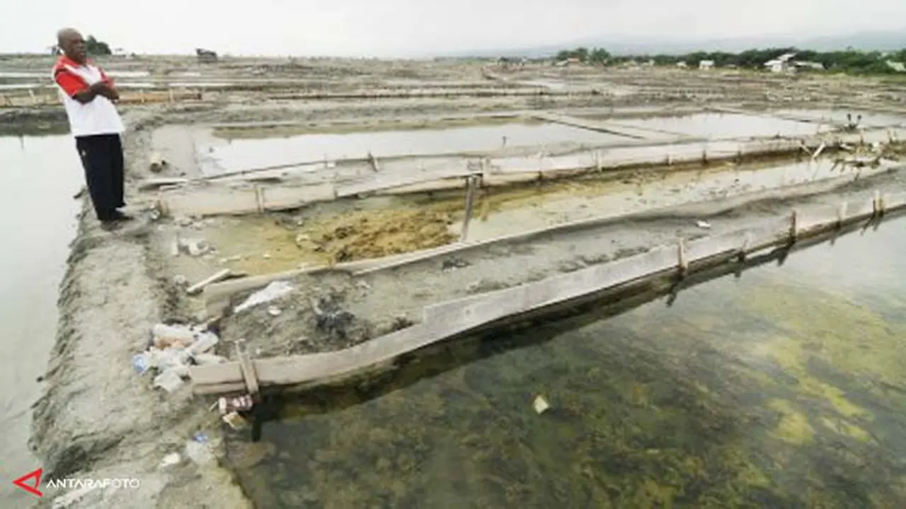 harga-gram-turun-140131b.jpg