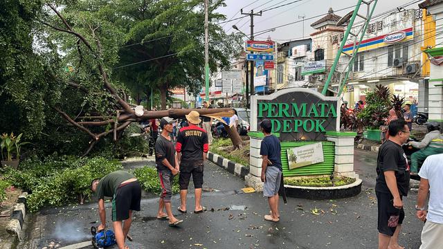 Angin Puting Beliung di Depok Picu Pohon Tumbang hingga Rumah Rusak
