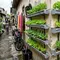 Inspirasi Kebun Mini Hidroponik untuk Rumah di Gang Sempit. (Foto: Gemini AI)