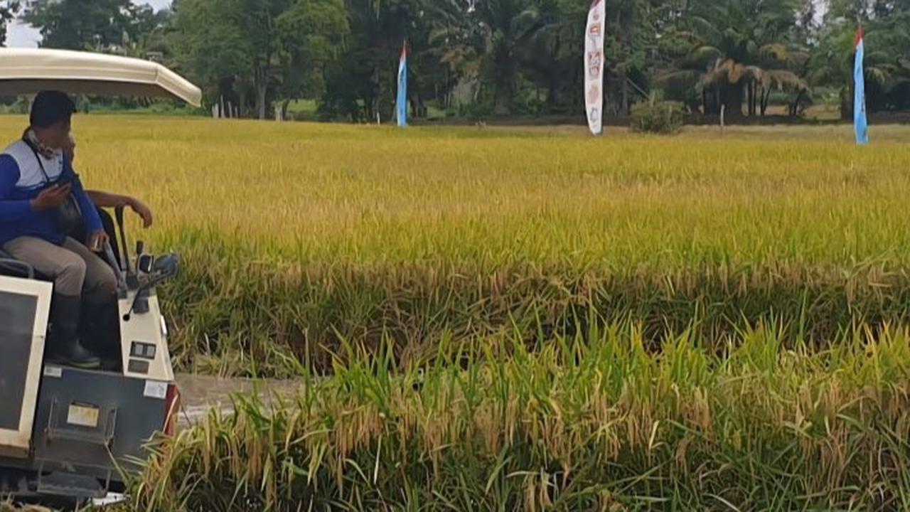 Kuasa Hukum Mentan Amran Sebut Rp200 Miliar untuk Petani, Begini Jawaban Resmi Tempo
