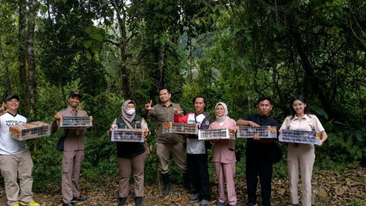 Karantina Ketapang Gagalkan Penyelundupan Burung Liar, Ratusan Ekor Diselamatkan