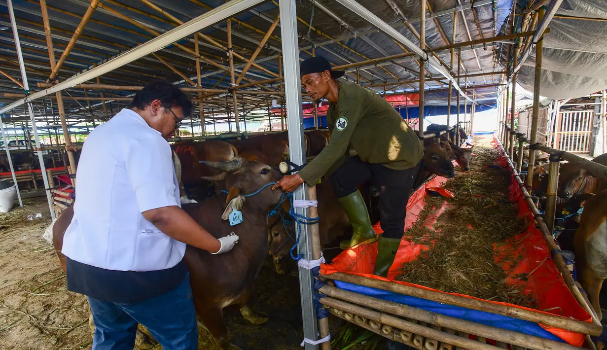 Jelang Hari Raya Idul Adha 1446 Hijriah atau Hari Raya Kurban 2025, pemeriksaan hewan kurban diintensifkan. (merdeka.com/Arie Basuki)