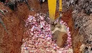 29 Ton Bawang Putih Asal China Berakhir di TPA Batam