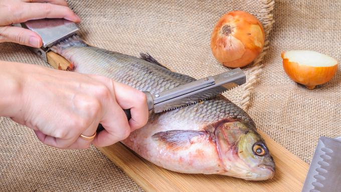 4 Tips Mudah Membersihkan Sisik Ikan yang Keras - Lifestyle Fimela.com