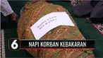 Setelah berjuang selama 24 jam, tiga narapidana Lapas Klas 1 Tangerang yang mengalami luka bakar serius, akhirnya meninggal dunia, Kamis (09/9) pagi. Jenazah salah satu korban bernama Hadiyanto bin Ramli dimakamkan di Tempat Pemakaman Umum Semper, Ja...