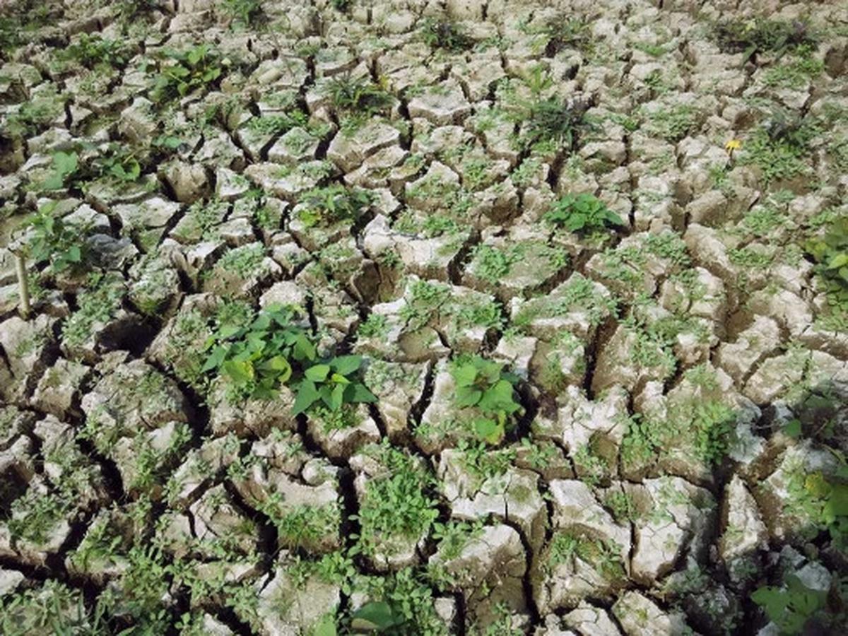 Ini waduk terbesar di Kebumen yang dilanda kekeringan parah