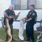 Sheriff tangkap ular boa di Florida. Dok: Facebook/St. Lucie County Sheriff's Office&nbsp;