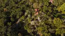 Pemandangan udara dari situs Roberto Burle Marx, yang masuk kedalam daftar situs warisan dunia UNESCO, di Rio de Janeiro, Brasil, pada 27 Juli 2021. Lokasi ini dianggap sebagai laboratorium untuk eksperimen botani dan lanskap. (AP Photo/Mario Lobao)