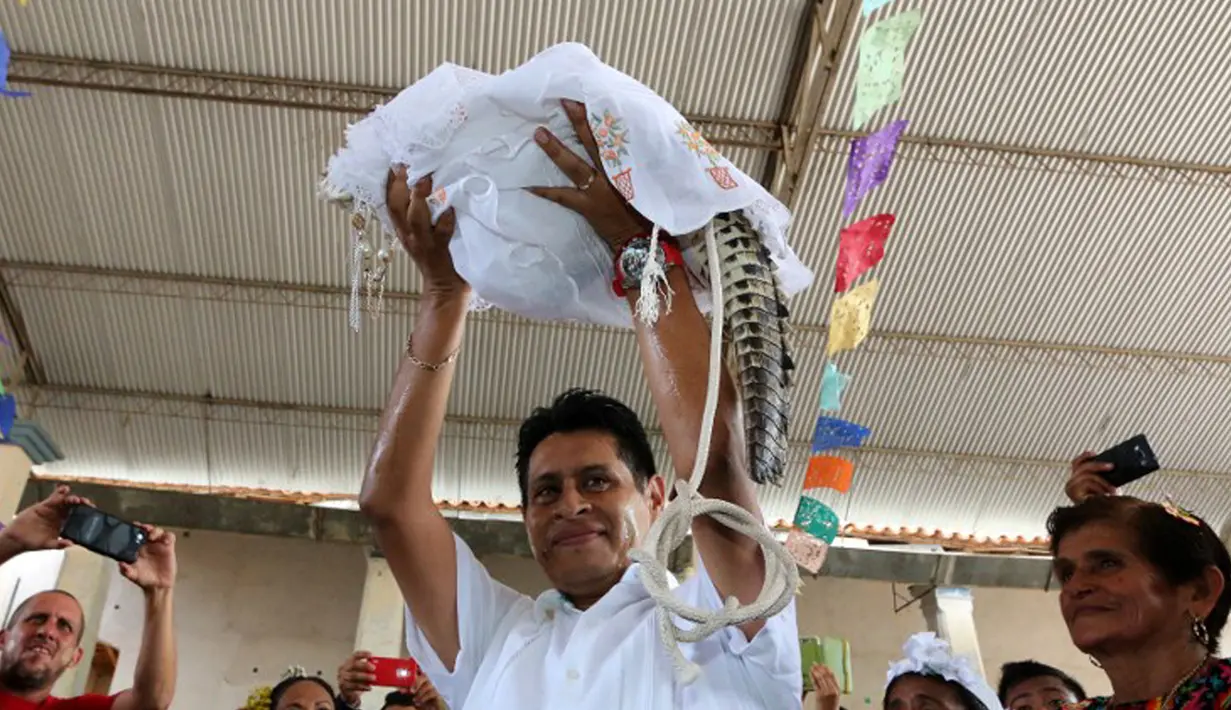 Wali Kota San Pedro Huamelula, Joel Vasque mengangkat sang mempelai wanita, yaitu seekor buaya saat akan menjalani ritual pernikahan di Oaxaca, Meksiko, 30 Juni 2015. (AFP PHOTO/MARIO JIMENEZ) 