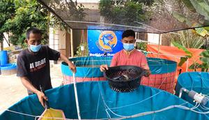 Budidaya lele bioflok mudah dilakukan dan air ikan lele tidak perlu diganti sampai panen datang. Air pun tidak akan bau. (Foto: Liputan6.com).