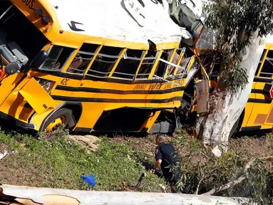 Sebuah bus sekolah ringsek menabrak pohon di Anaheim, California, Kamis (24/04/2014) (REUTERS/Alex Gallardo). 