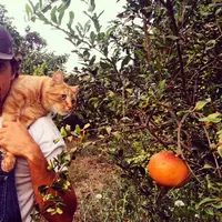 Potret Jason Mraz yang diambil saat berpose bersama dengan kucing di kebun ini bikin gemas banget, ya! (instagram/jason_mraz)