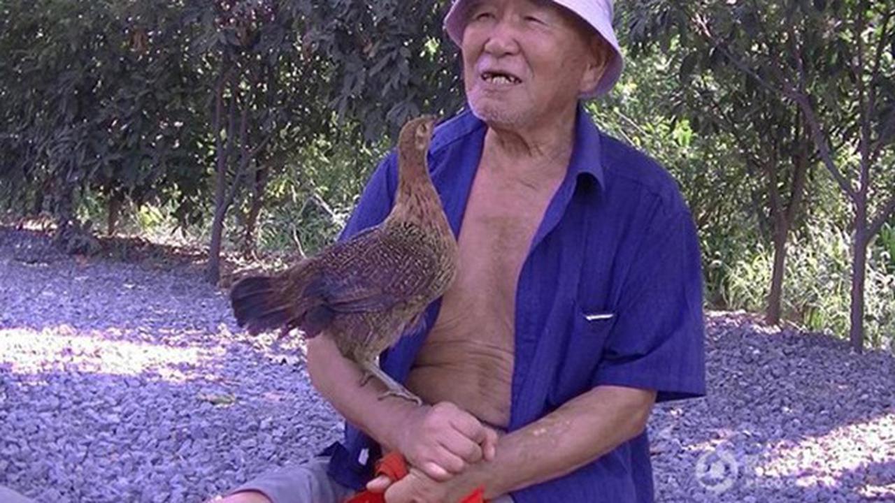 Kisah Unik, Kakek 80 Tahun yang Bersahabat dengan Ayam Betina