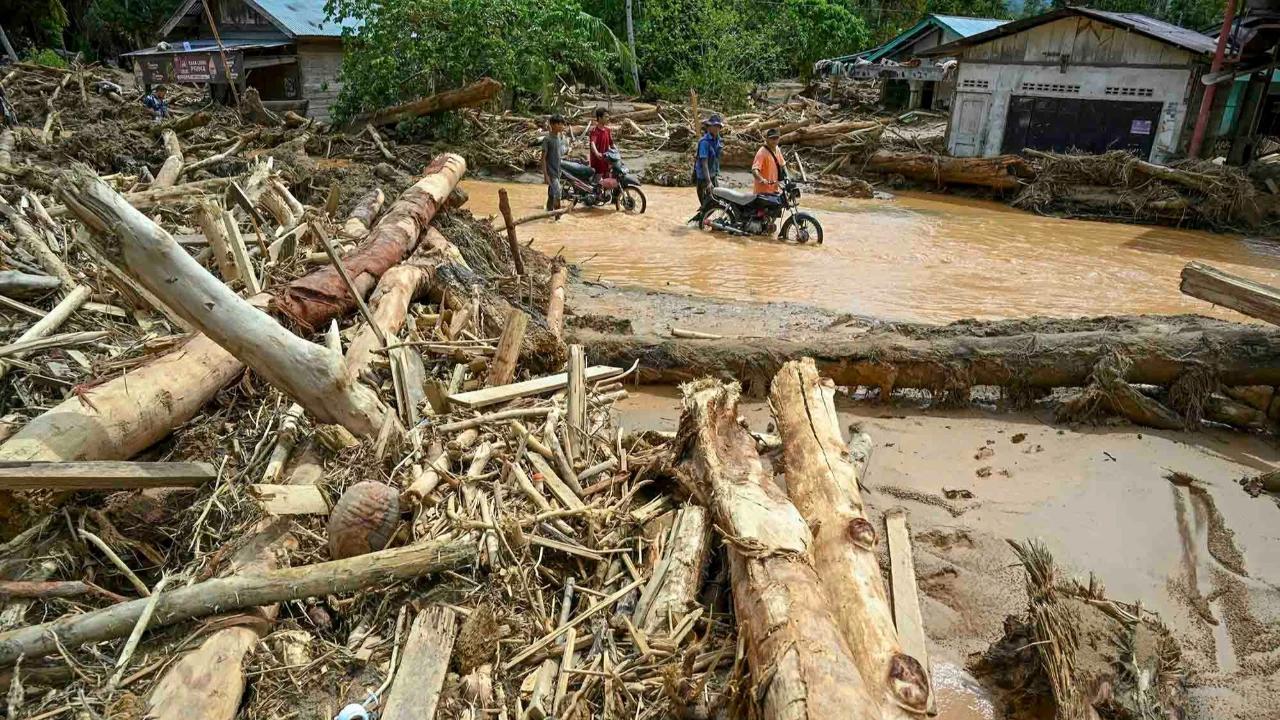 Ungkap Temuan Penting, Ada Bekas Gergaji Mesin di Kayu yang Hanyut Saat Banjir Sumatra