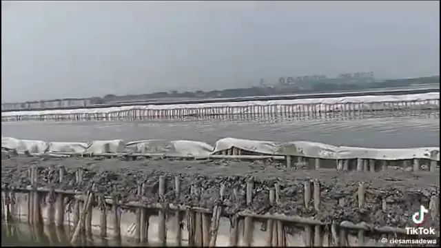 5 Kilometer Pagar Laut di Tangerang Dibongkar Hari Ini