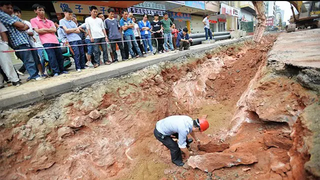 Wow! Banyak Fosil Telur Dinosaurus di Cina