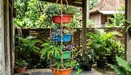 6 Ide Pot Bertingkat dari Baskom Bekas untuk Taman Rumah yang Kreatif dan Hemat Tempat